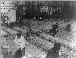 The Romanovs working in the garden at Tsarskoe Selo, Russia.