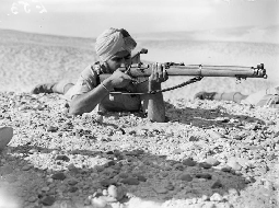 Commonwealth_Forces