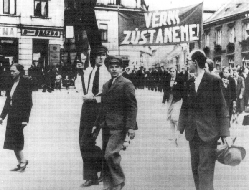 Manifestace